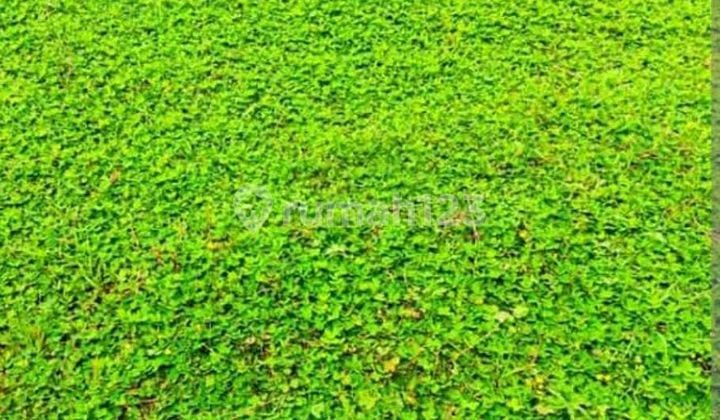 For Sale Land/ Golf Peak Citraland
