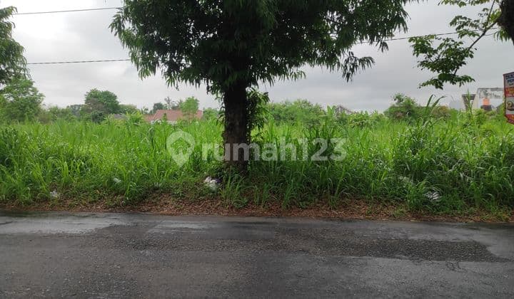 Tanah Dijual Area Jalan Kaliurang KM. 10 Cocok Untk Kavling Dan Gudang