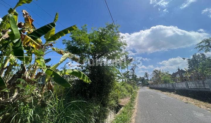 Tanah Murah Cocok Homestay, Rumah, Kost Dkt Kampus Uii Dan Gramedika
