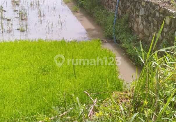 Tanah Jual dan Sewakan di Jalan Imogiri Timur Cocok untuk Mbg