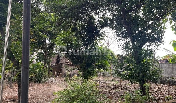 Dijual Tanah Area Pleret Bantul Lokasi Dekat Stadion Sultan Agung