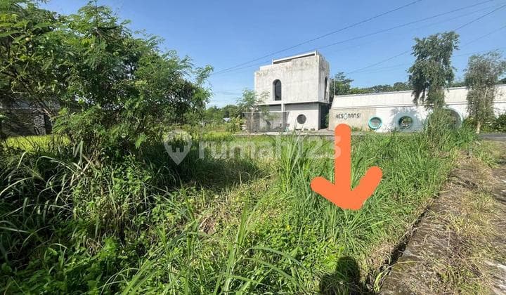Tanah Murah Area Jakal KM. 11 Cocok Untuk Villa Dan Homestay