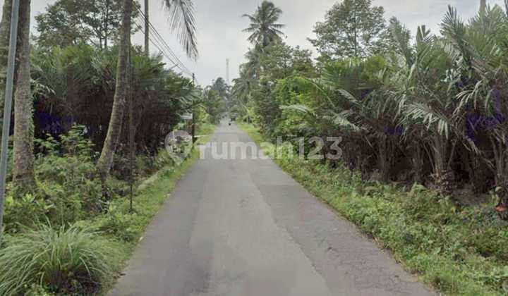 Tanah Sawah Murah Sudah Zona Kuning Area Pakem Dekat Panti Nugroho
