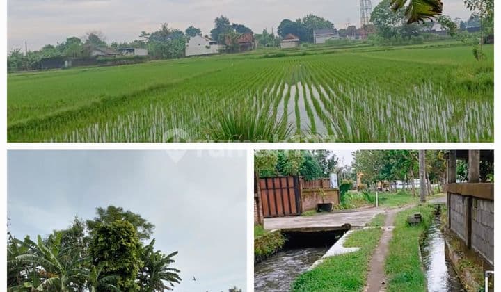 Dijual Tanah Sawah Lokasi di Dusun Simping Sidomoyo Dekat Pintu Tol