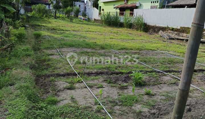 Dijual Tanah Pekarangan Area Sewon Bantul Lokasi Dekat Kampus ISI