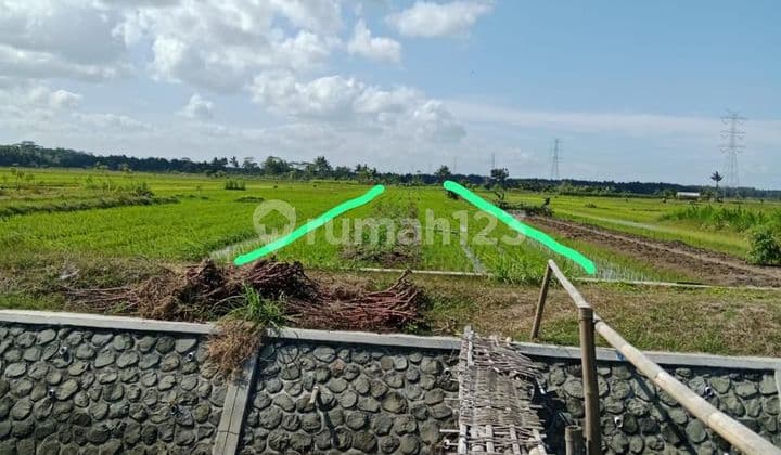 Dijual Tanah Luas Cocok untuk Perumahan Lokasi Temon Dekat Yia dan Ugm