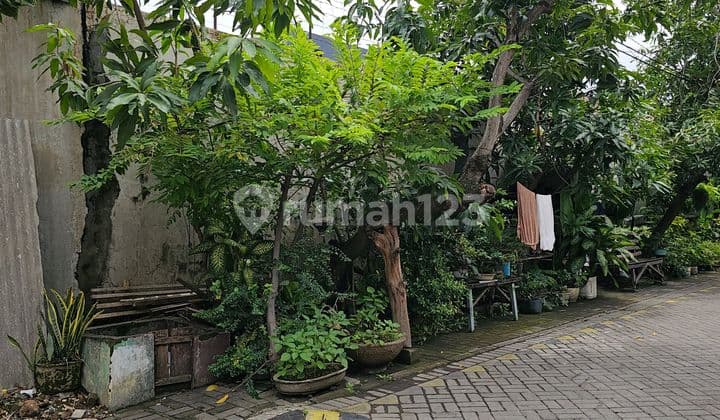 Rumah Jelek Hitung Tanah bisa Dipecah Jadi 4-8 Rmh Lebak Jaya