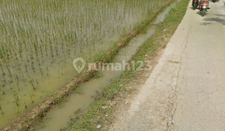 Tanah Murah Cocok Buat Perumahan Atau Gudang Jayasakti, Muara Gembong Bekasi Jawa Barat