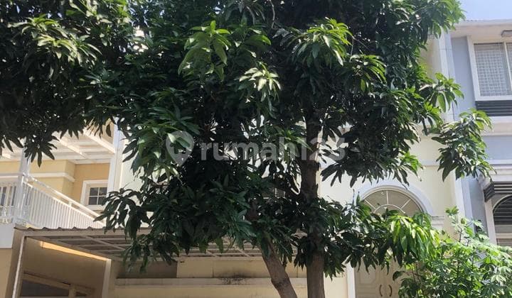 Disewa Rumah Pik Bgm 3Lt Uk 8X18 M² At Jakarta Utara