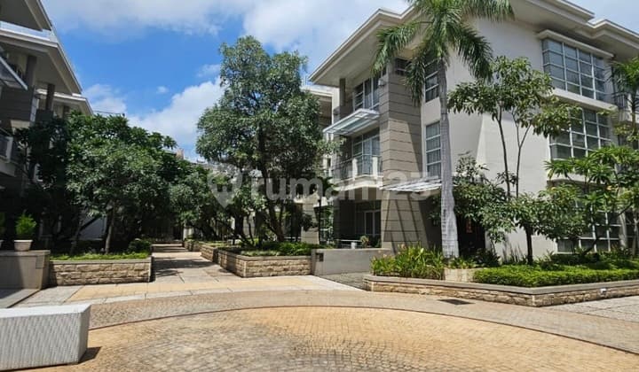 Dijual Rumah Cbd Pluit Townhouse Emporium Harga NJOP Uk228m² At Jakarta Utara