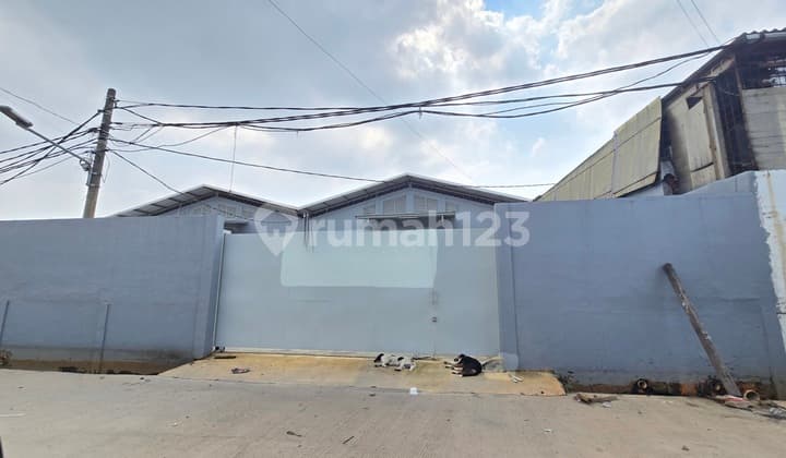 Gudang Miami / Kayu Besar " Brand New " - Jakarta Barat