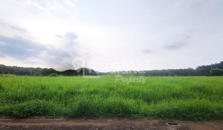 Tanah di Puri Arga Golf Bsb Mijen , Semarang Lz Tt 4368