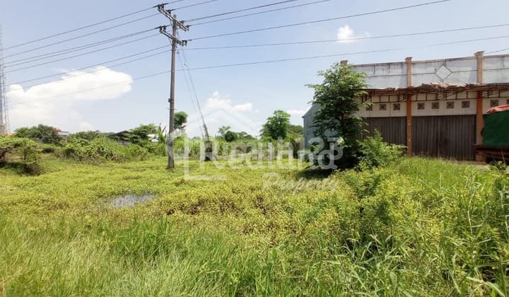 Tanah di Weleri , Kendal Me 4515