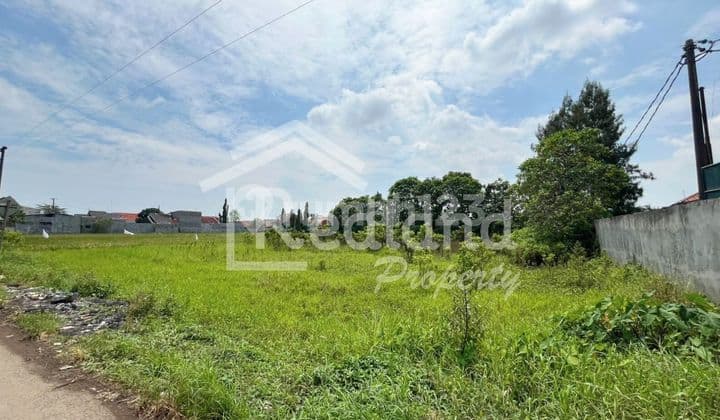 Land in Pekalongan ( Tt Vn Si 8639 )
