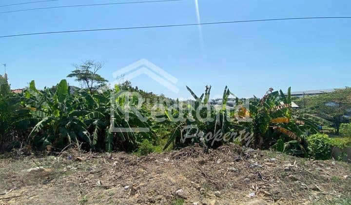 Land on Jl Raya Pantura Tegal Pemalang (Tt Si 8132)