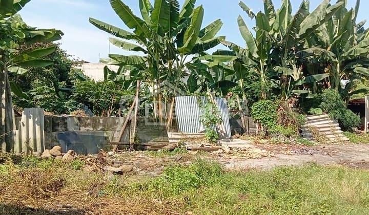 Land in the Candisari area, Semarang (Title Deed No. 7620S)