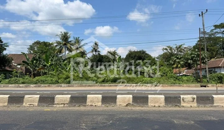Land in Raya Batang Weleri (Plot Si 8362) Land in Raya Batang Weleri (Plot Si 8362)