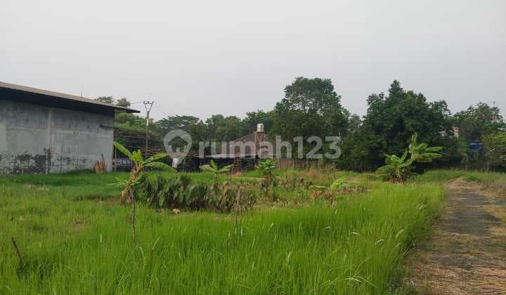 Dijual Tanah di Dawuan Barat Dekat Tol Cipali Subang