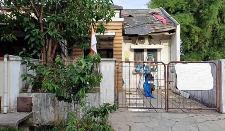 Rumah 1 Lt Minimalis di Cluster Griya Sutera Dekat Dari Binus