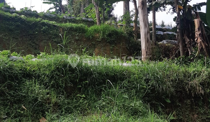 Gorgeous land for villa home with full views!