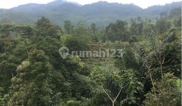 Fantastic agroculture mountain land