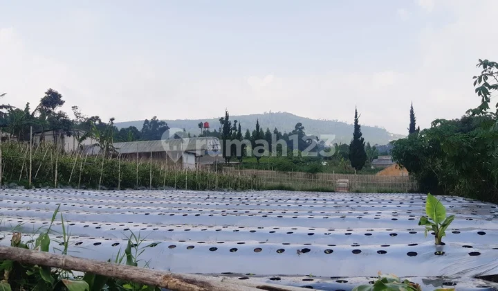 Fantastic land with full city & mountain views!