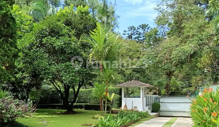 Dutch Home Kontemporer 1965 surrounded by a park garden