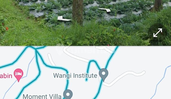 Tanah di Jl Sindangwaas, Mekarwangi 8650 m² SHM