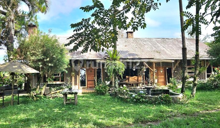 Equestrian Horse Stable & Villa