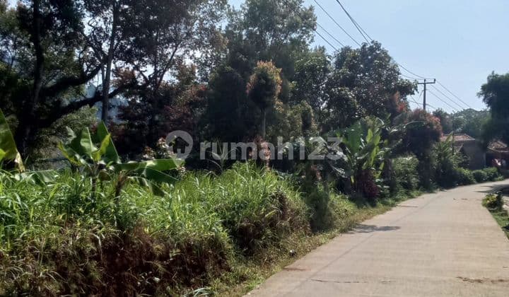 Beautiful square land with full city views close to Mosque