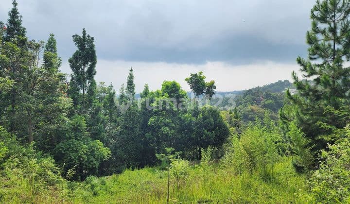 Fantastic Dago Mountain Land With Super Views