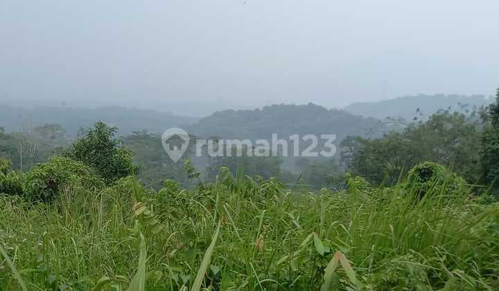 Dijual Tanah Di Cariun Jonggol
