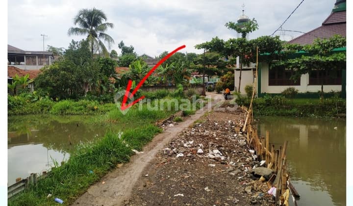Lahan Empang murah di sukahati cibinong