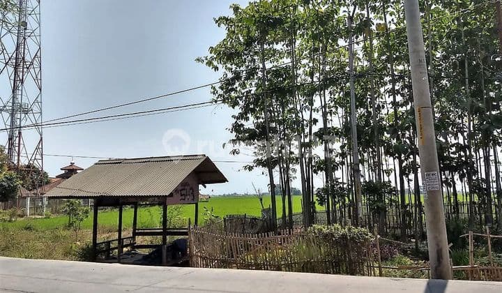 Tanah Cocok Untuk Gudang Mainroad Sapan Rancaekek Dekat Majalaya