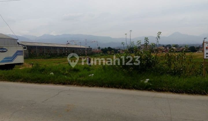 Tanah Luas Sekali 3 Muka Cocok Dibuat Perumahan di Pusat Majalaya