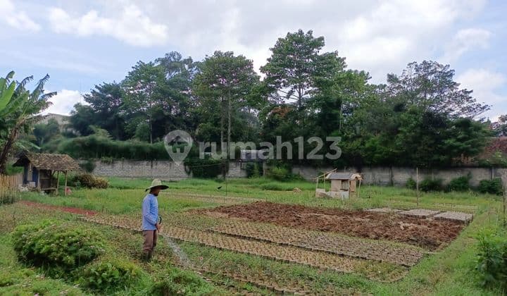 Tanah Cocok Untuk Villa Kebun Ada Mata Air Sersan Bajuri Lembang