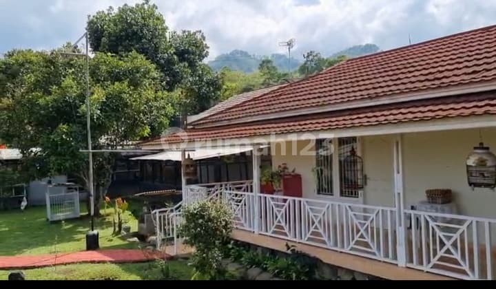 Villa Cipanas Bonus Kebun Jeruk Dan Kebun Jambu