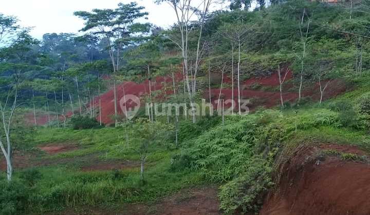 Tanah di Kampung Cibogor, Ciamis Jawa Barat