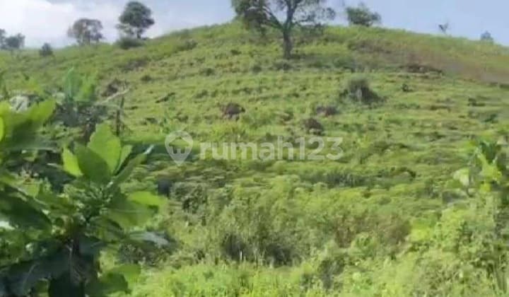 Dijual Tanah 100 Ha Di Sentul Bogor