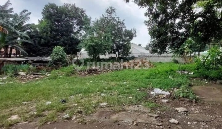 Tanah Kavling di Muara Kapuk Jakarta Utara Strategis Nego Tanah Kavling di Muara Kapuk Jakarta Utara Strategis Nego