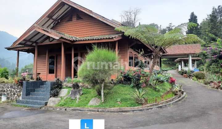 For Sale: 9000m2 Spacious Villa Featuring 2 Villas with 200 Durian Trees, in Mega Mendung Puncak, Bogor.