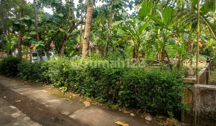 Cheap Land SHM Trimurti Srandakan Bantul