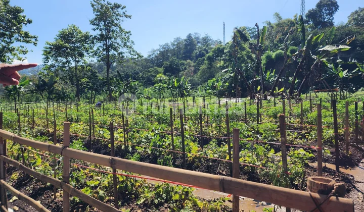 Tanah Premium Ciburial Dago – View Lembah Eksotis, Harga Terbaik! Tanah Premium Ciburial Dago – View Lembah Eksotis, Harga Terbaik!