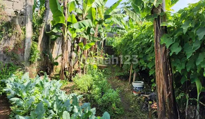 Tanah Siap Bangun di Setiabudi Regency Bandung