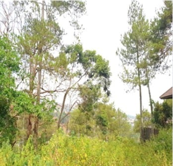 Investasi Tanah 1.500 m² di Bukit Pakar Utara – Pemandangan Kota & Alam