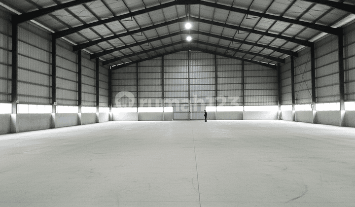 Gudang Dijual Pulo Gadung Pulogadung Jiep Jakarta Timur Jaktim Cocok Logistik Assembling Ritel Company