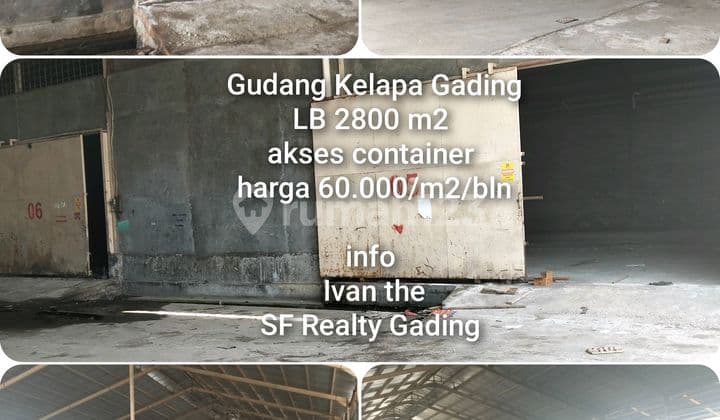 Gudang Kelapa Gading Klp Gading Disewa Dekat Dari Pelabuhan Priok Astra Otopart Bluebird Pool Dhl Expedisi.
