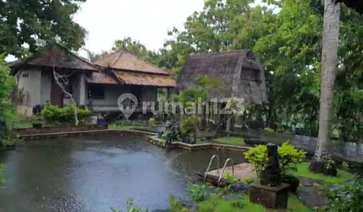 Beli Tanah Free Bangunan. Murah sekali. Cocok utk villa, guest house, hotel, dll