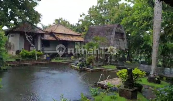 Buy free building land. Very cheap. Suitable for villas, guest houses, hotels, etc