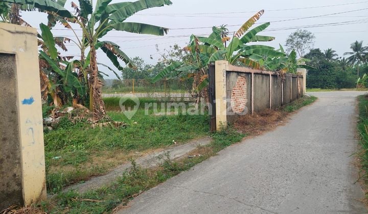 Urgent Sale, Super Cheap, Price Drop, Roadside, Affordable, Business, Investment, Plastic Factory, Warehouse, Etc.